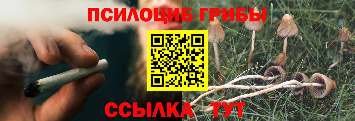 Псилоцибиновые грибы Magic Shrooms  сколько стоит  Ногинск  Вход с VPN 
